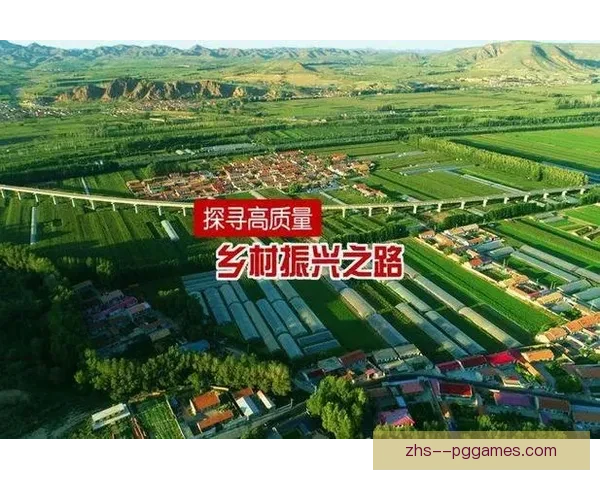 聚焦国家队伤停消息的风险评估与应对策略全面建议体系化分析方案